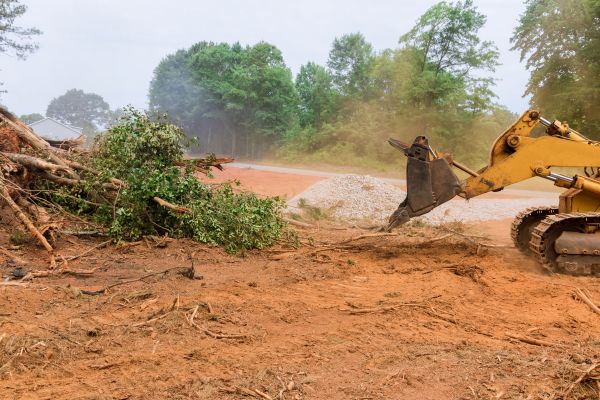 Ground Clearing in Spartanburg