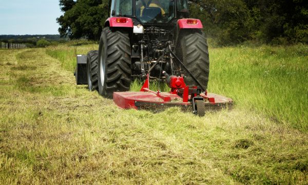 Brush Clearing Service in Spartanburg