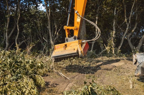 Brush Removal Service in Spartanburg