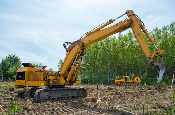 Farm Clearing in Spartanburg