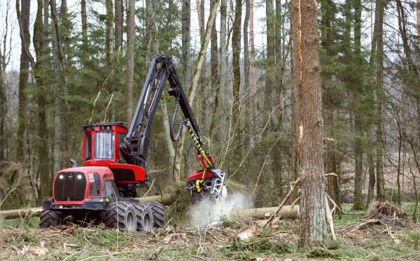 Forest Clearance Service in Spartanburg