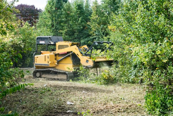 Pathway Clearing in Spartanburg