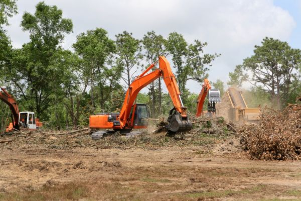 Commercial Lot Clearing in Spartanburg